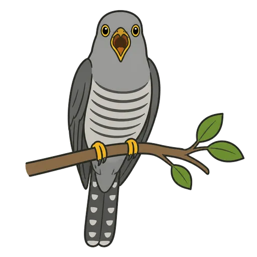 Pittogramma CAA: cuculo (cuculo)