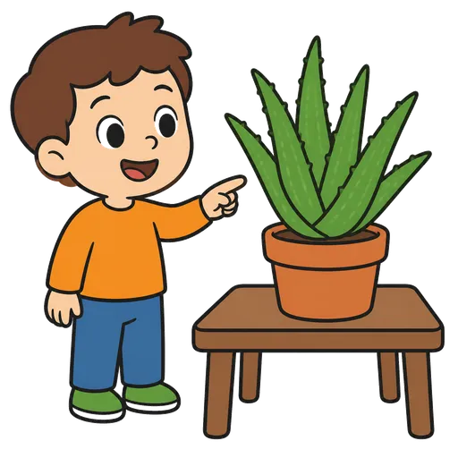 Piktogram AAK: aloe