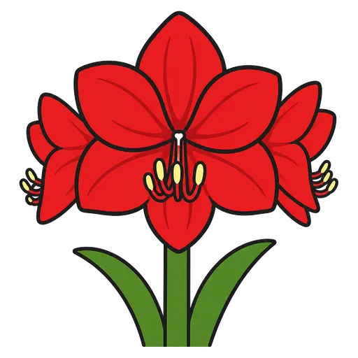 Pictogramme CAA : amaryllis