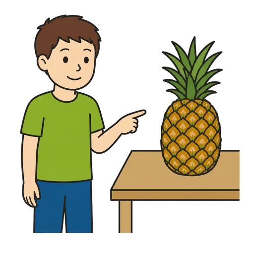 AAC-Piktogramm: Ananas