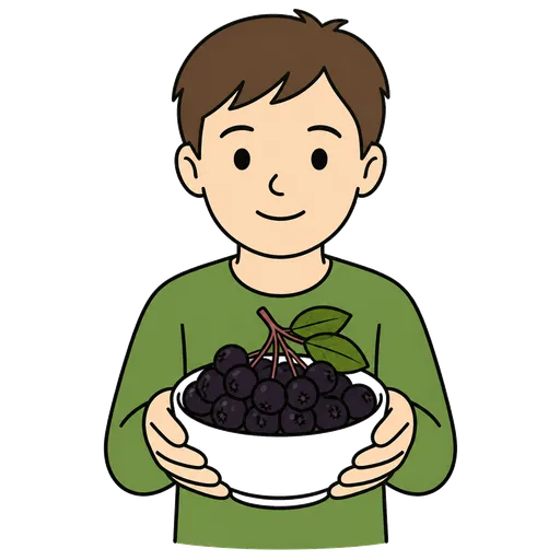 Piktogram AAC: aronia