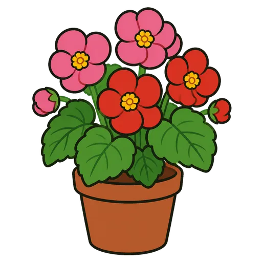 Piktogram AAC: begonia