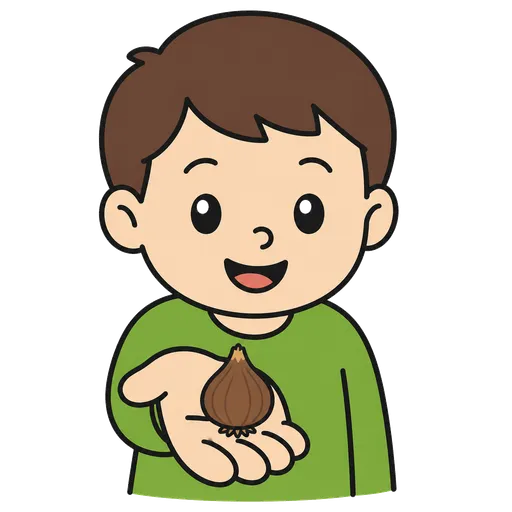 Piktogram AAC: cebulka kwiatowa