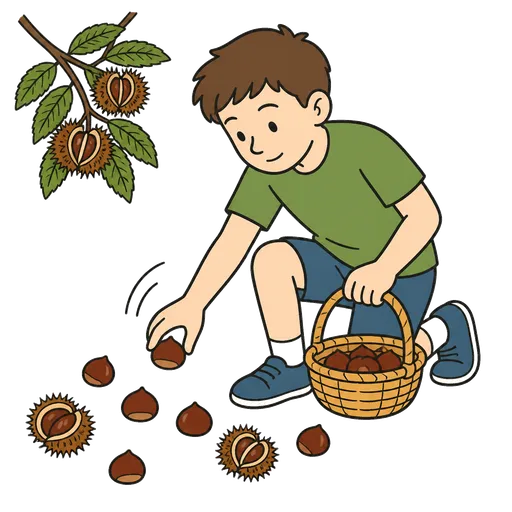 Pittogramma CAA: vuoi raccogliere castagne