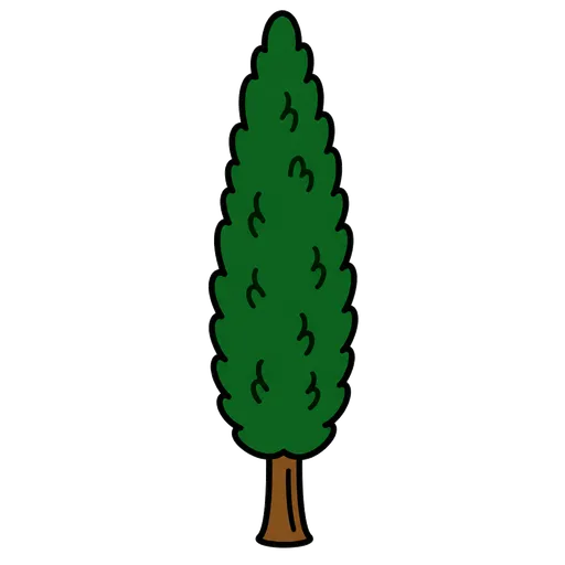AAC-Piktogramm: Zypressenbaum