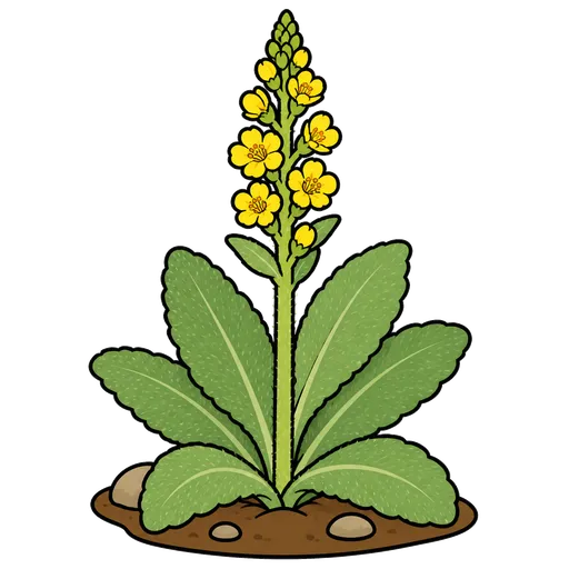 Piktogram AAC: dziewanna