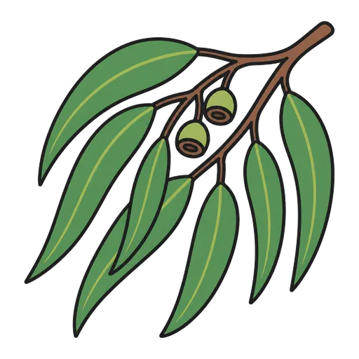 Piktogram AAK: eukalyptus