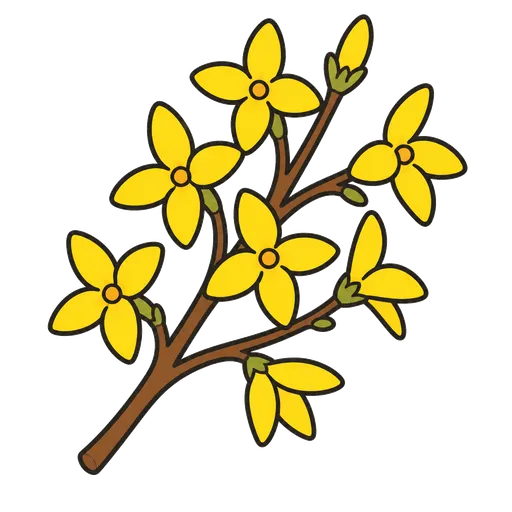 Piktogram AAC: forsycja