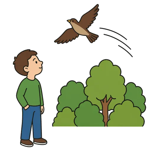 AAC-Piktogramm: fliegen
