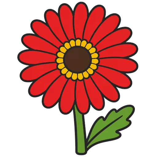 Piktogram AAK: gerbera