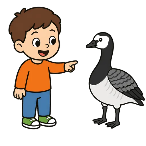 Piktogram AAC: gęś białoczelna