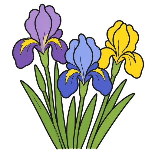 Pittogramma CAA: iris