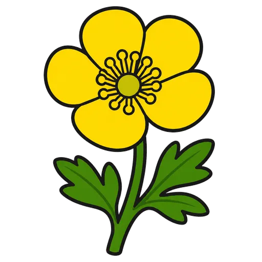 Piktogram AAK: pryskyřník