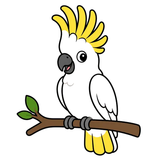 Piktogram AAK: kakadu