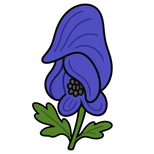 AAC-Piktogramm: Mönchsblume