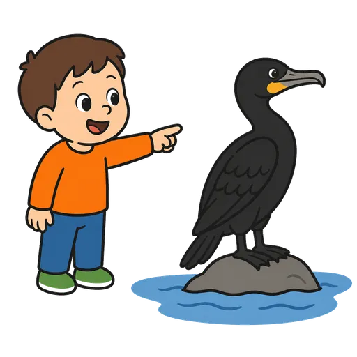 AAC-Piktogramm: Schwarzer Kormoran