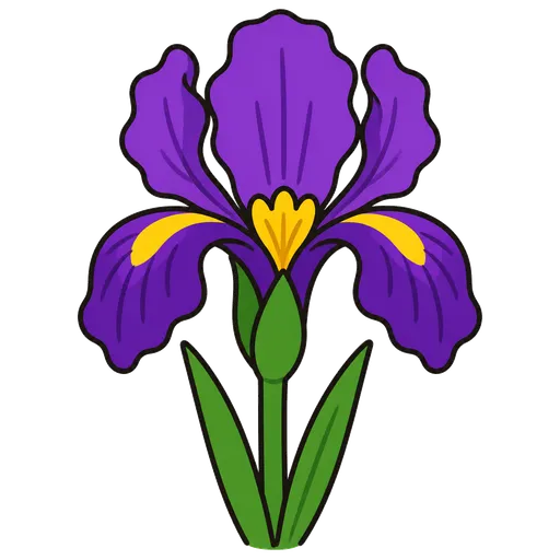 Pittogramma CAA: iris (fiore)