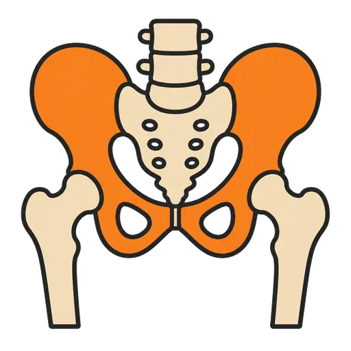 Piktogram AAC: kość biodrowa