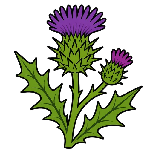 AAC-Piktogramm: Distel