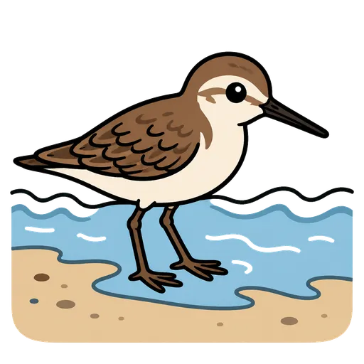AAC-Piktogramm: Sandpfeifer