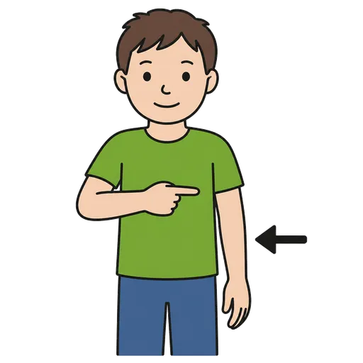 Pictograma CAA: lado izquierdo del cuerpo