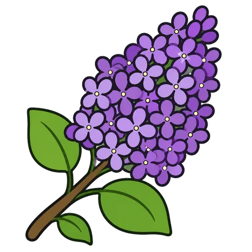 Piktogram AAK: šeřík