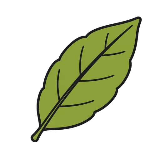 Piktogram AAC: liść laurowy