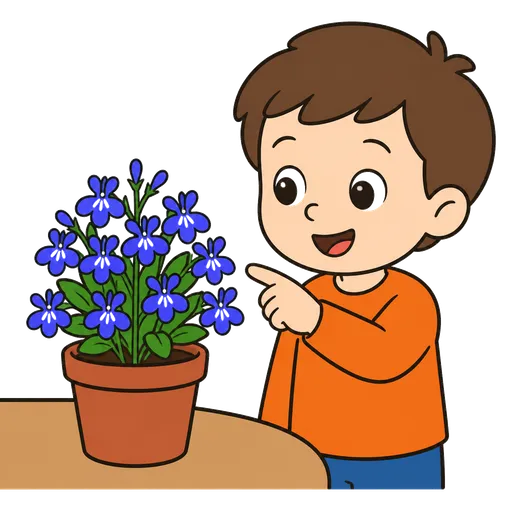 Piktogram AAC: lobelia