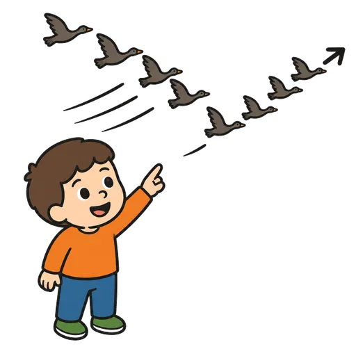 AAC pictogram: bird migration