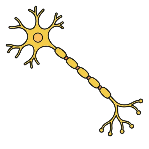 Piktogram AAC: nerw