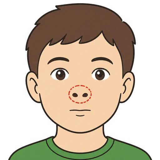 Piktogram AAC: nozdrza
