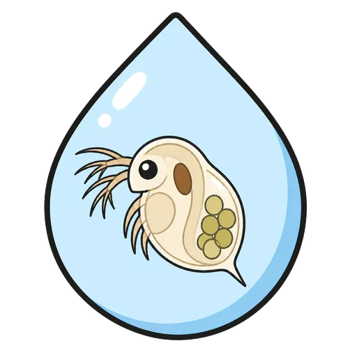 Piktogram AAK: vodní blecha