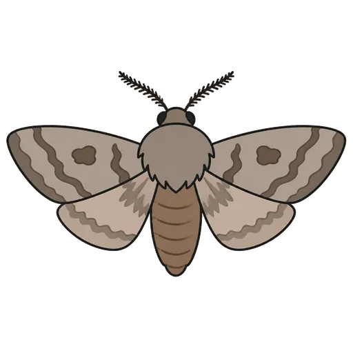 AAC-Piktogramm: Fledermaus