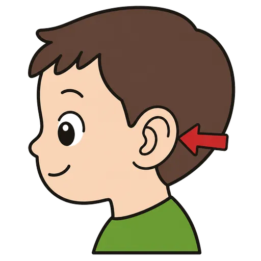 Piktogram AAK: krycí chlopeň ucha