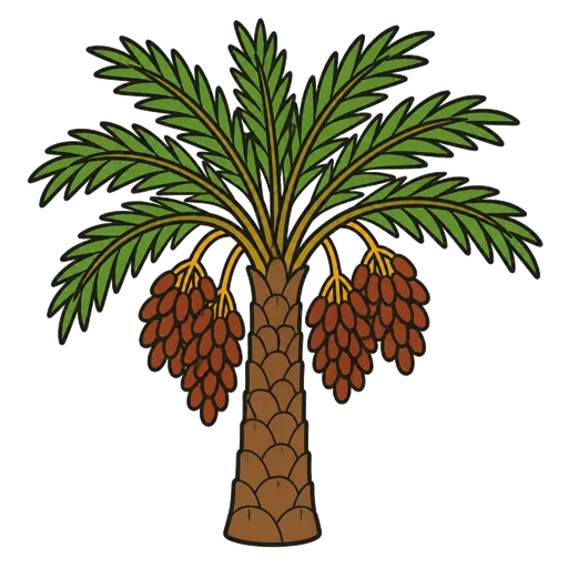Piktogram AAC: palma daktylowa
