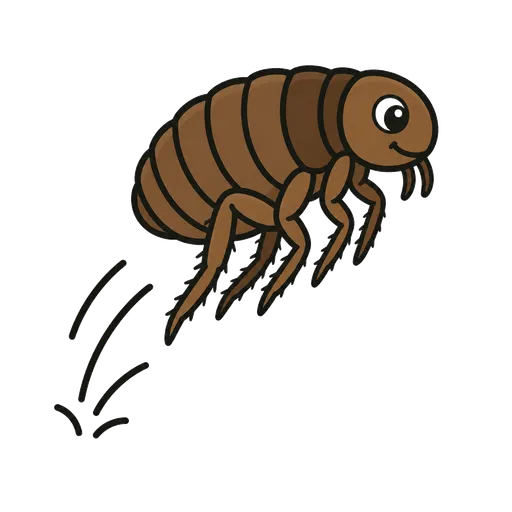 Piktogram AAC: pchła