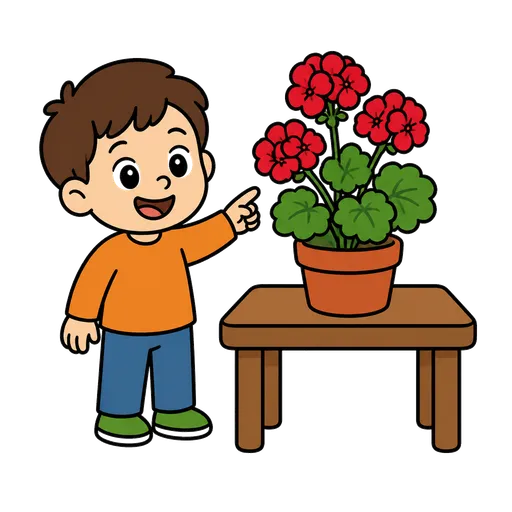 Piktogram AAC: pelargonia