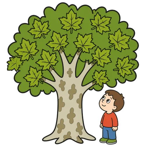 AAC-Piktogramm: Flachbaum