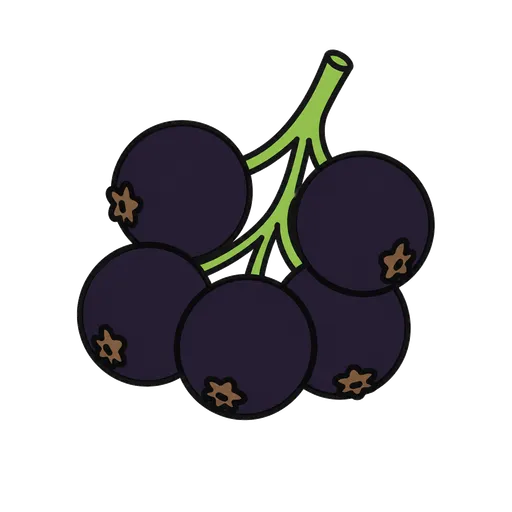 Piktogram AAK: černý rybíz