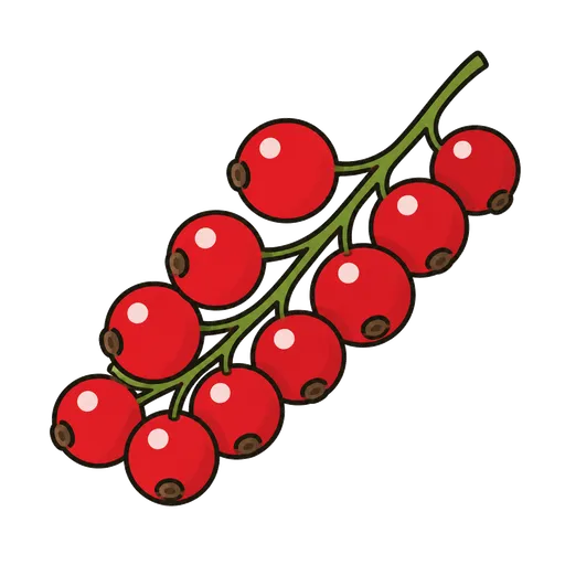 Piktogram AAC: porzeczka czerwona