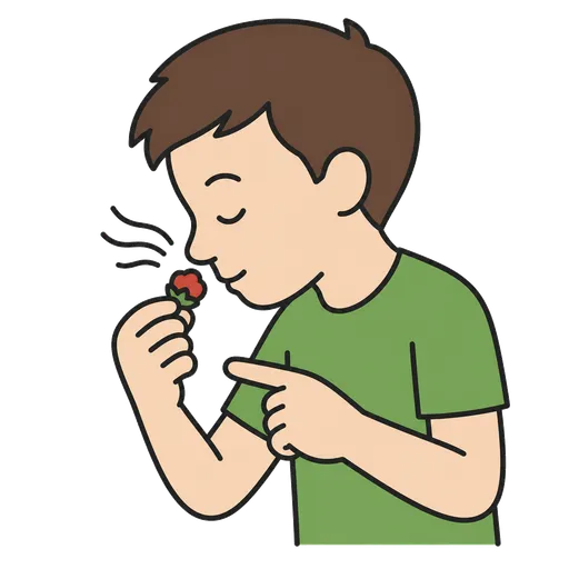 Piktogram AAC: powąchaj to