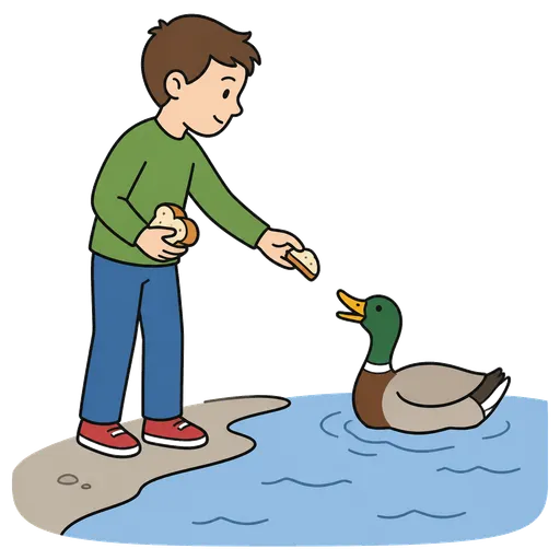 AAC-Piktogramm: Entenfütterung