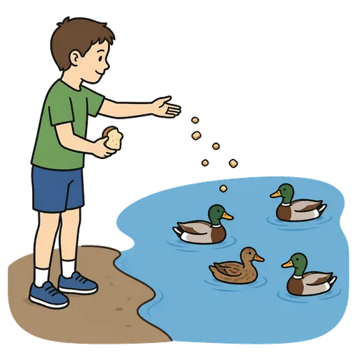 Pittogramma CAA: dare da mangiare alle anatre sull’acqua