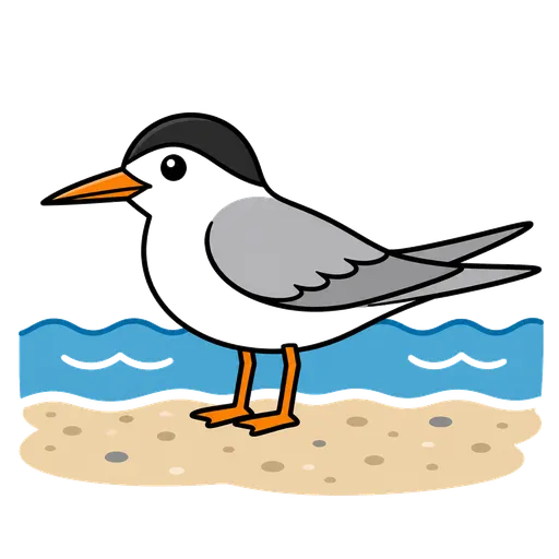 AAC-Piktogramm: Küstenseeschwalbe