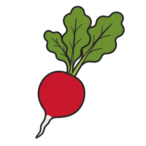 Piktogram AAC: rzodkiewka