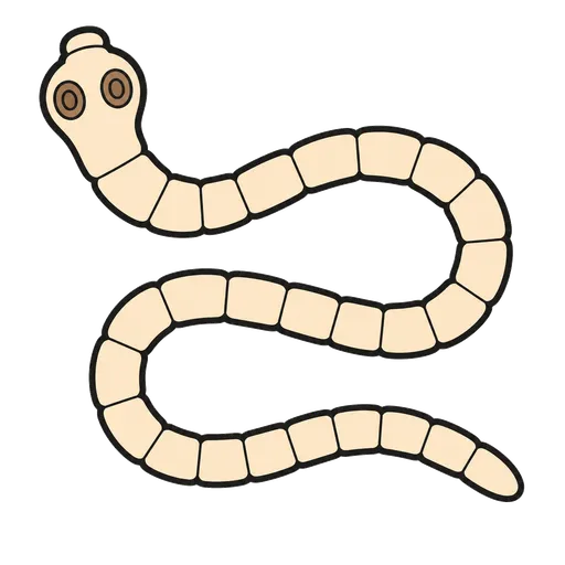 Piktogram AAC: tasiemiec