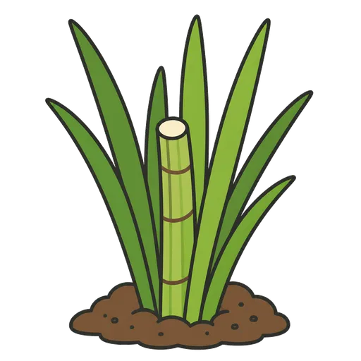 Piktogram AAC: tatarak