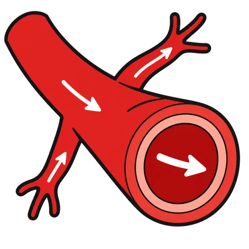 Pittogramma CAA: arteria