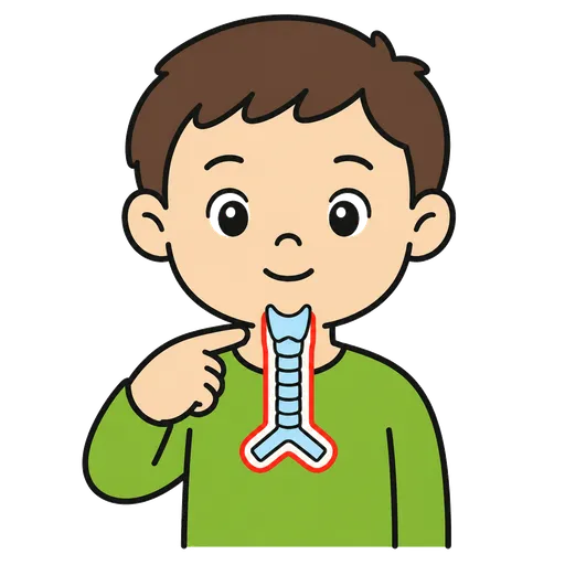 Pittogramma CAA: trachea