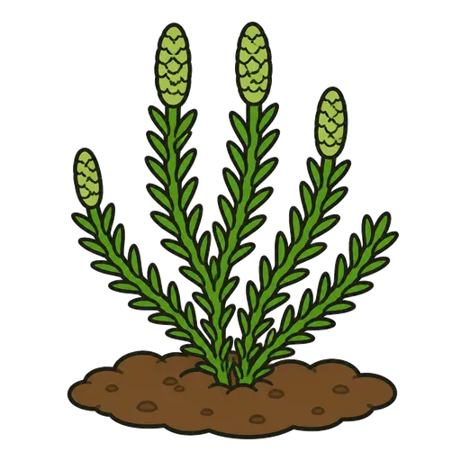 Piktogram AAC: widłak